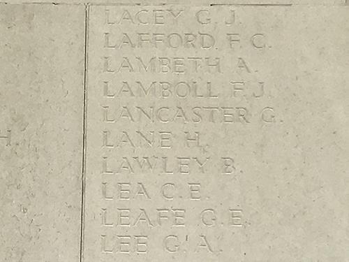 Harry Lane 500