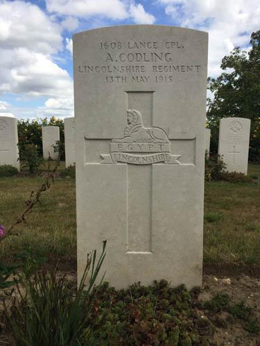 Albert Codling 500