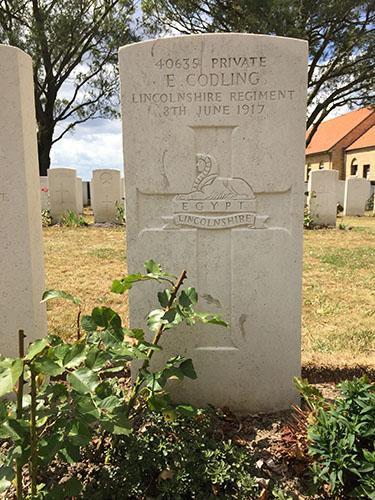 Ernest Codling 500