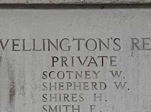 William Scotney 500